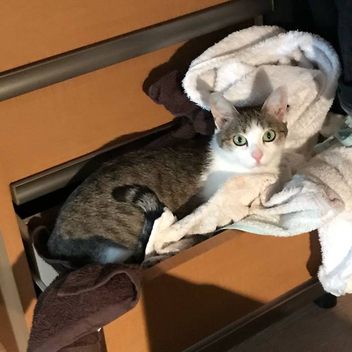 15bd25b9 d875 423a 937d 1164562ad69d 1654659705186