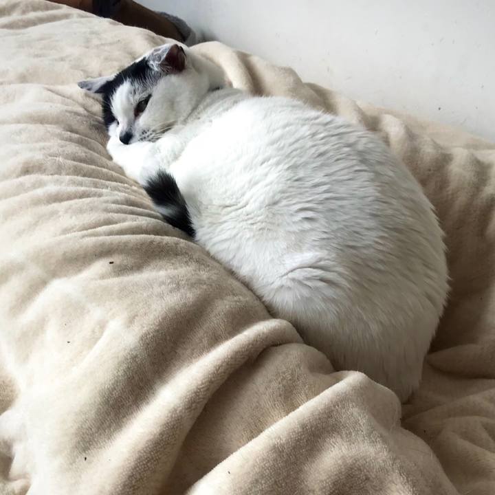 15bd45a8 03ef 427d b946 e145ccc50539 1647266440683