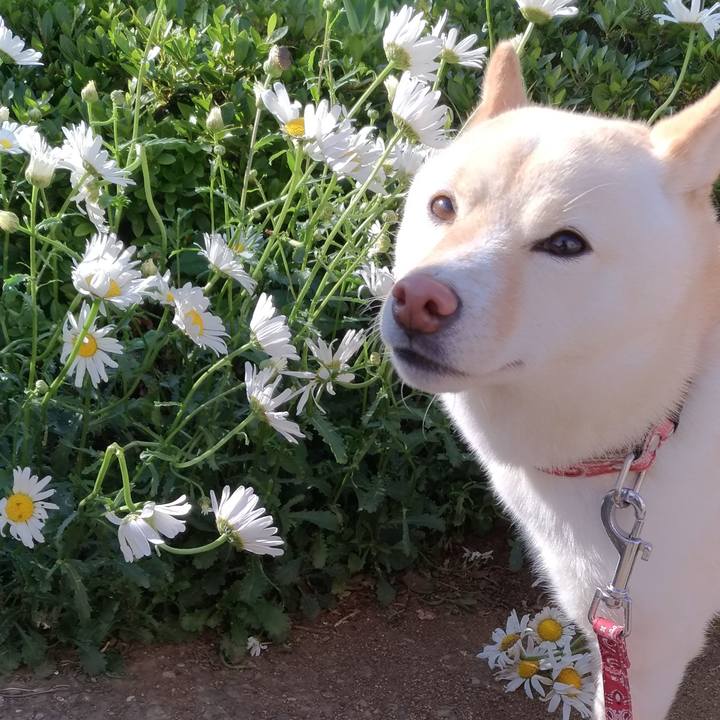 15bd45fe 85c8 4e8a a6ff 404d098b130d 1557313405826