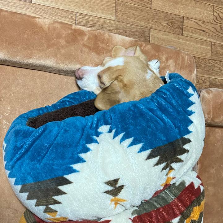 15bd4cf5 7be6 4a95 bd78 3e524d85a1bb 1643193285657