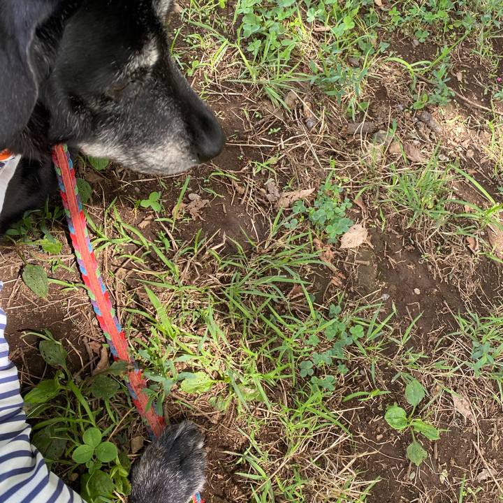 15bd88d8 887a 4d84 b12e b0b12406e4c5 1692841577072