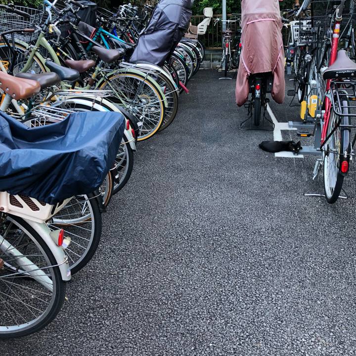 15be3d6d 9f06 41c4 b351 6d55c25f3d51 1536144954488