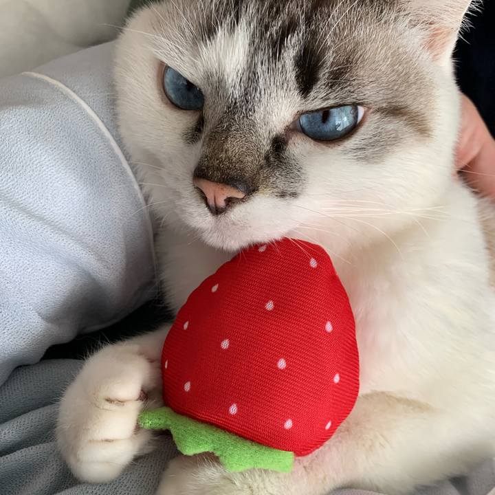 15be41ce 0bf9 4552 b078 3dc9abaf1e25 1647663869062