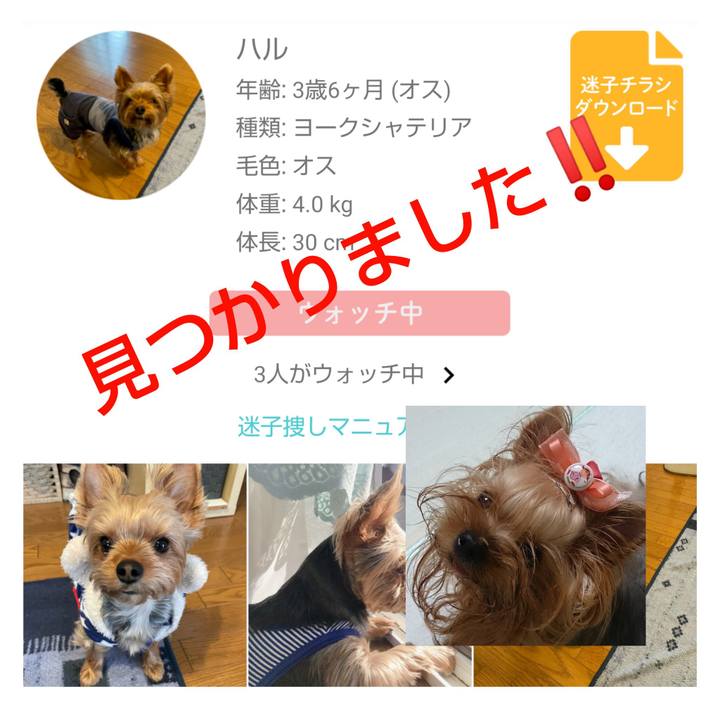 15be4544 5b69 48f5 bfc0 425d4b6b2797 1624793359705