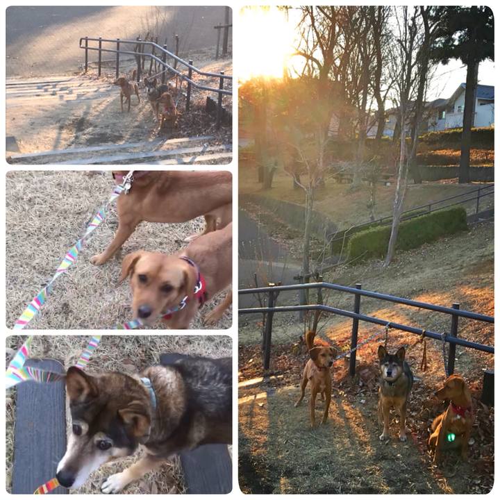 15be5b35 6f96 4af7 92f7 baa7321019a9 1515845192284