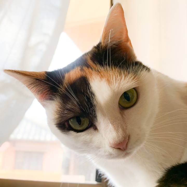 15be5dbb 6e33 4a4b b8a7 5ffd5a8ed905 1575078284415