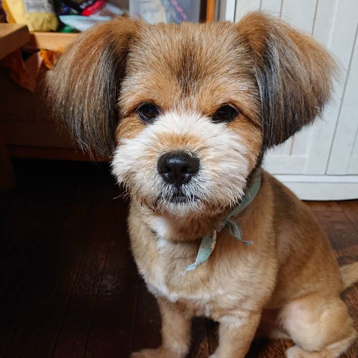 15becd82 80a1 449e 9205 b3960efcc6a3 1561984144329