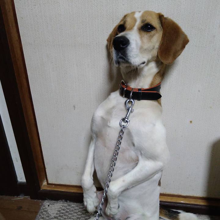 15bed36f 2e0a 455c b743 695c8775ec88 1624883279396