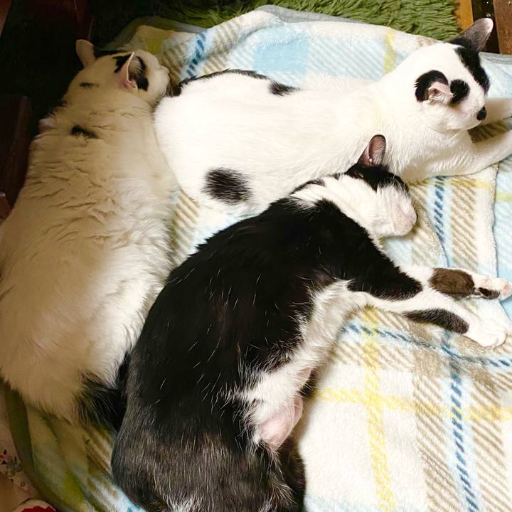 15bf2541 4566 4828 a17b 3af4a97fd232 1674781303253