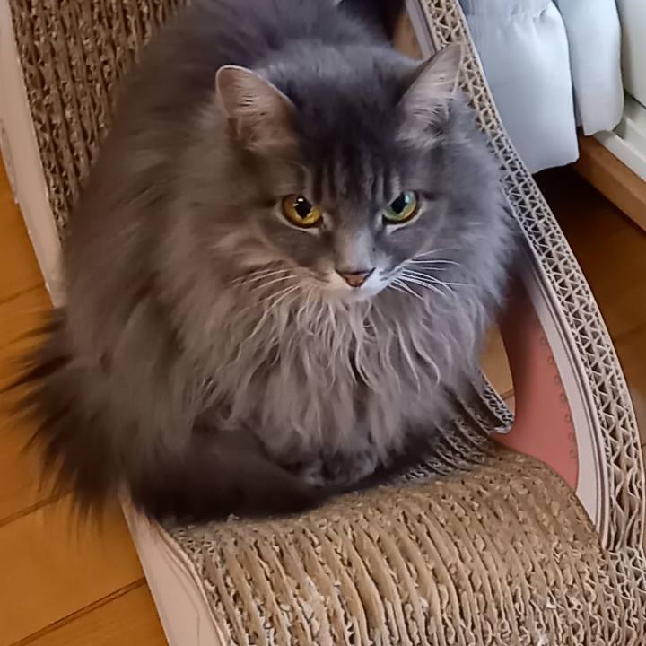 15bf264e c3cb 4377 91f6 7bb27a922411 1611387779011