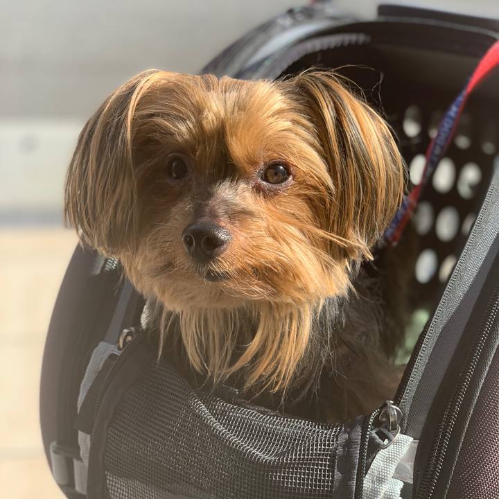 15bf324e 3ae0 43da 91a5 91d6a3dae71f 1540356162719