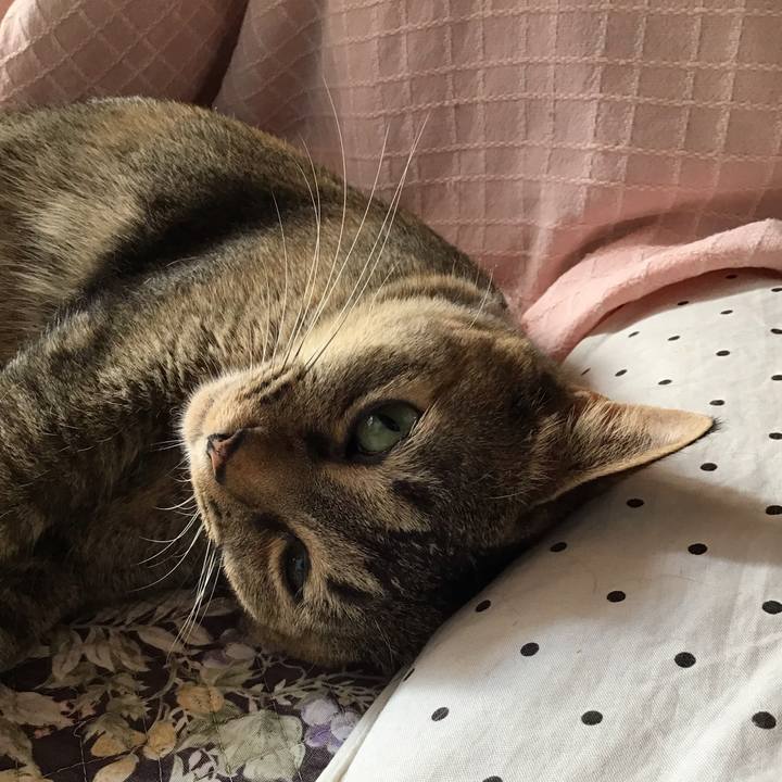 15bf47a1 75e6 45ac adb8 cdc76403841f 1654387253090