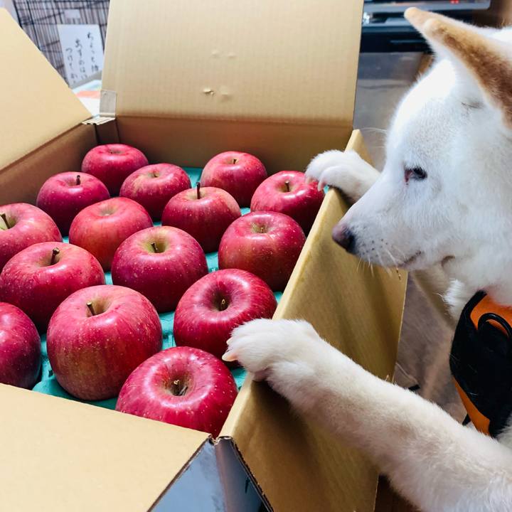 15bf4e0e 09a5 49be 93e2 b64827ef2274 1638835518866