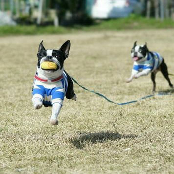 15bf6499 bcda 4fe9 a5d3 454821ba2de5 1575179078832