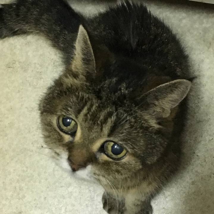 15bf74ff 9c30 45b8 9a56 84dd340f3b15 1531959143872