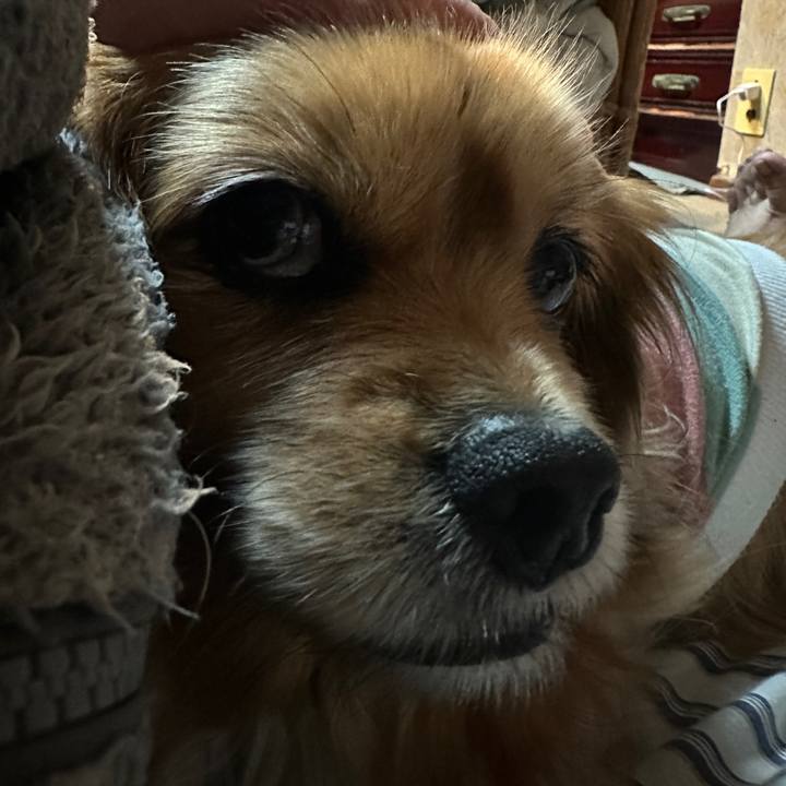 15bf77f4 6c42 4b9e 873f 7ccf05021e33 1706650370734