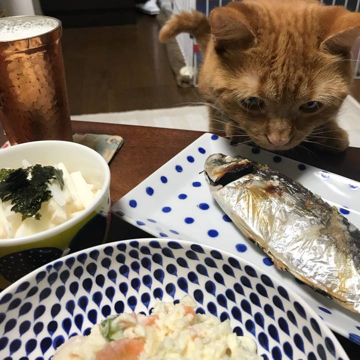 15bff550 67fc 4687 b3ce ab10cdc8cdac 1528802295374