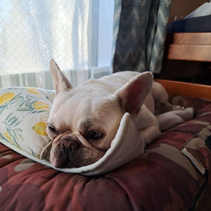 15bff96a 2a0b 43e7 b1fc 94aa42e701bb 1691900713987