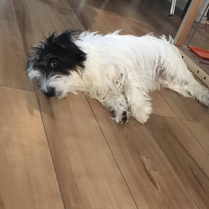 15bffdda e7dc 4e38 aad8 4b86828deb3f 1510092469814