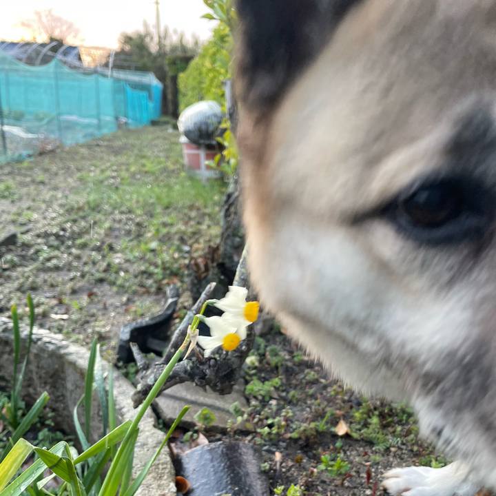 15c0228e abab 4ba4 8f39 b38ed838c280 1709296441565