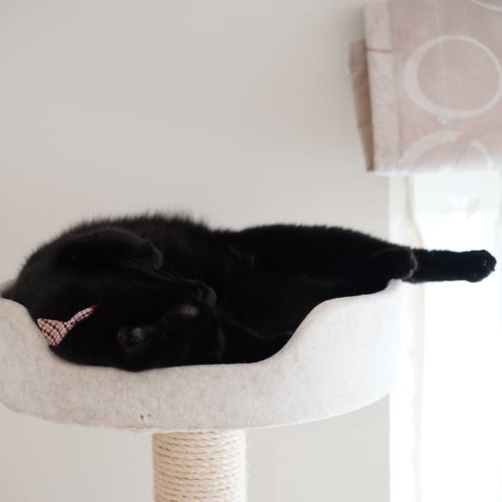 15c04bc2 a16a 4039 87dd 5242596c8b9e 1532909036949