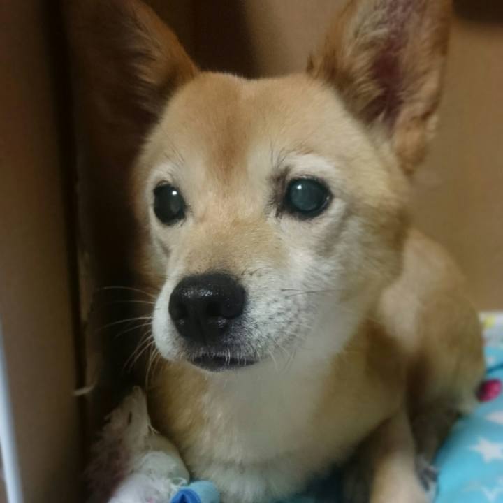 15c09683 6908 45ff 984e 546180a5f369 1511282045406