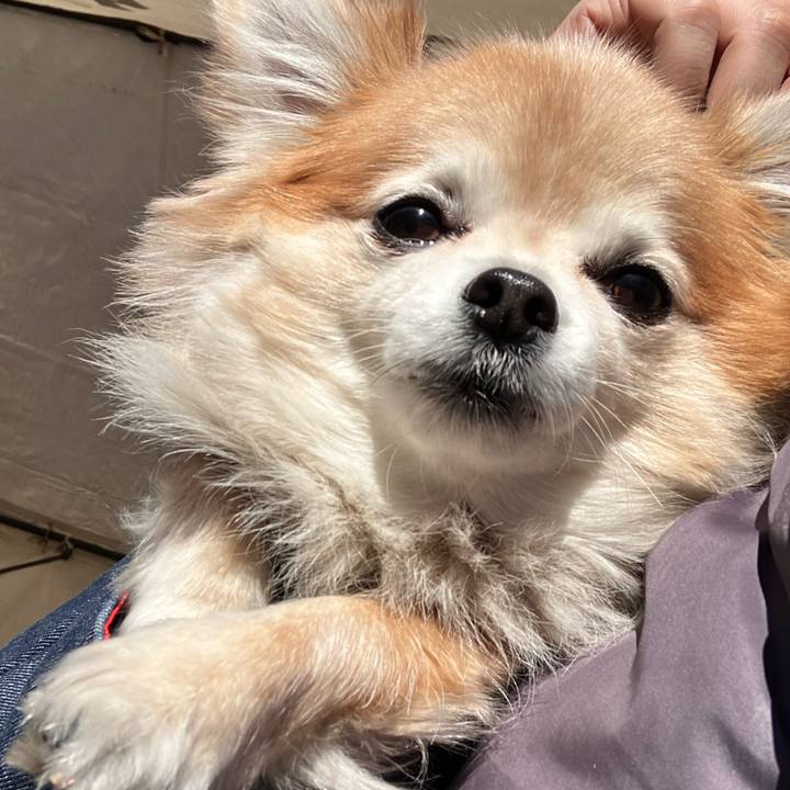 15c0992c 7815 4fb2 b683 cafdd4b77383 1769937033187