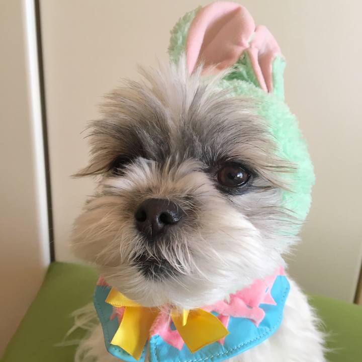 15c0e278 4ed0 4033 8198 343526282a10 1545260796818