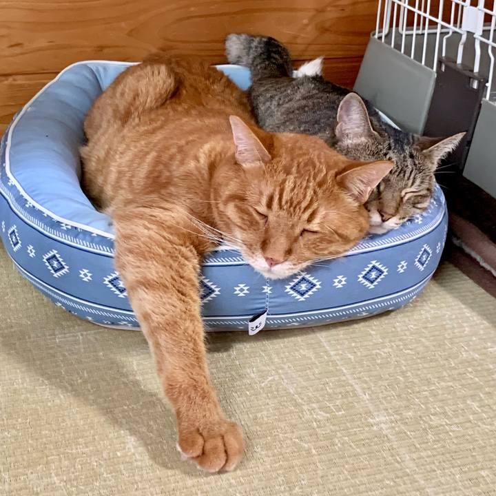 15c0edcb 1c19 4fd2 ac5b 92f336e1ffdd 1653873794441