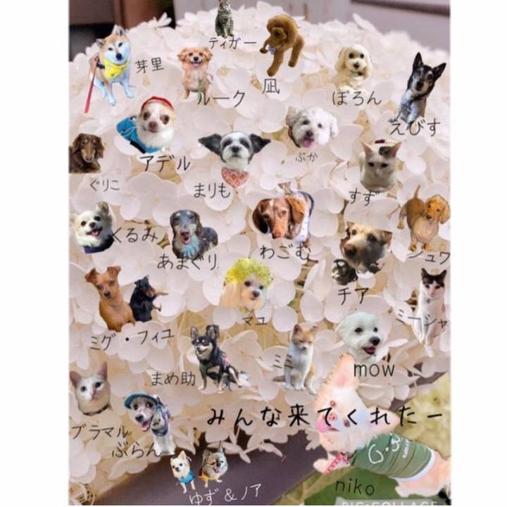 15c13256 57ec 4967 b00c 3e6291779bcf 1624157013148