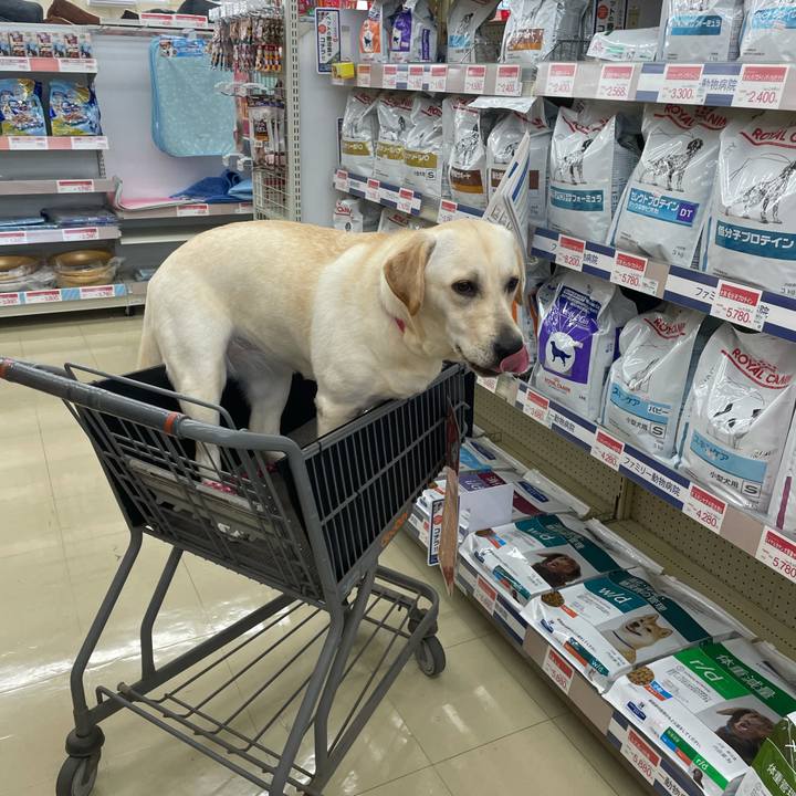 15c159d2 735a 4b76 aae3 d4244c1b20d3 1633171085661