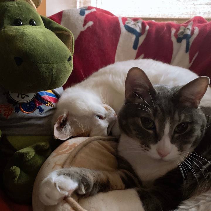 15c16a6b 5b7f 4591 94dc 9c15c79d7438 1585350571442