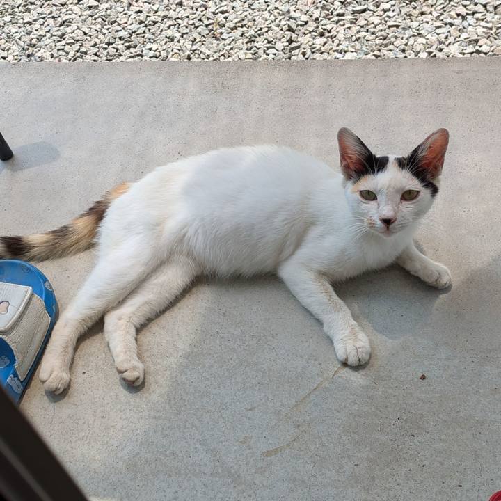 15c18a98 571a 4085 b41b 32d22f232e0f 1718542394061