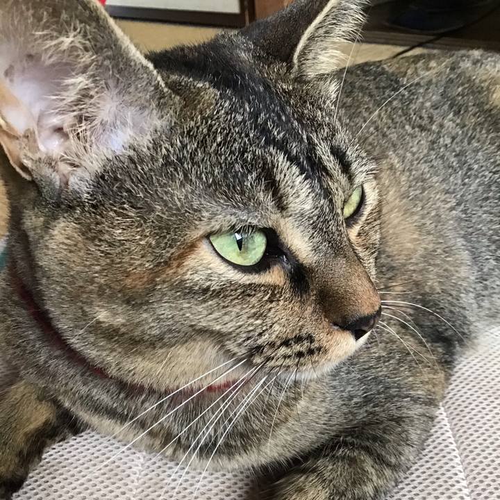 15c19079 14f1 447b 9621 588b980efb66 1598928649877