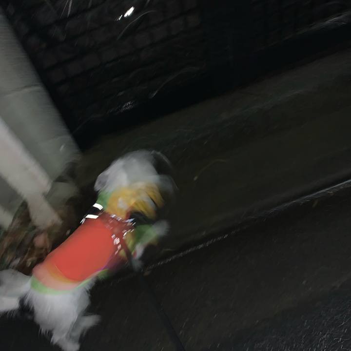 15c1b34e 5965 4a7f 9c1c bbc23d56c55b 1668939946218