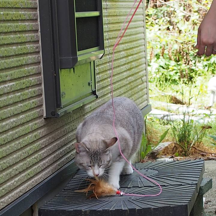 15c1b61f 3053 4d2b b278 62d5c5f5b8db 1533446013623