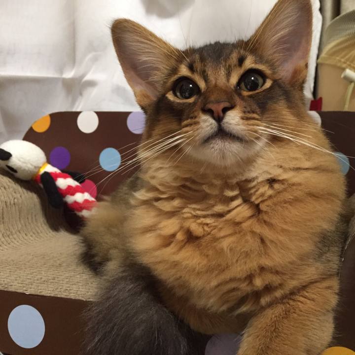 15c1c511 7bc8 402c 820a ba0d6fbcc660 1575707615221