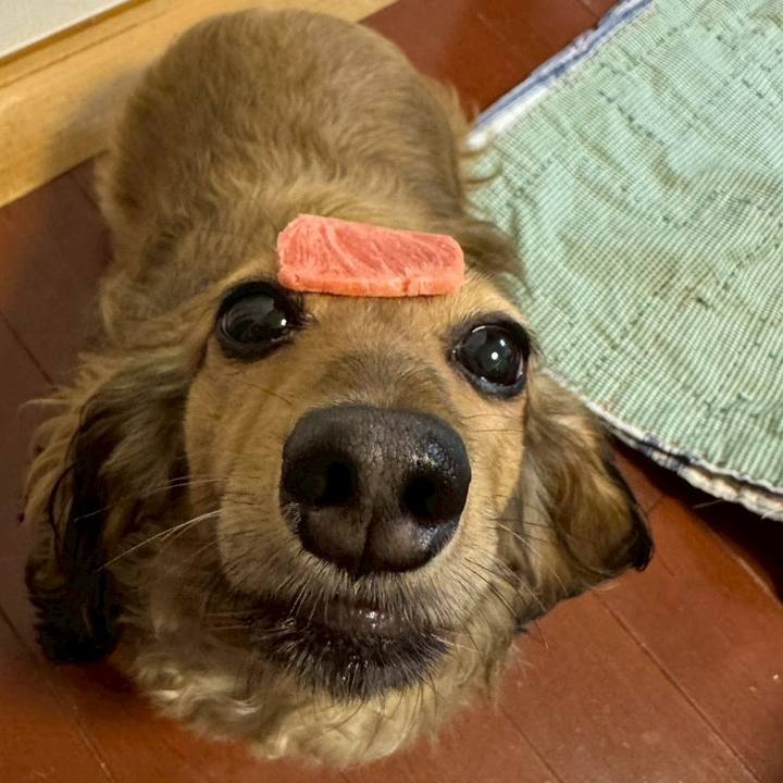 15c1d886 6fa0 4f89 aa2c fa81072ae050 1759493604608