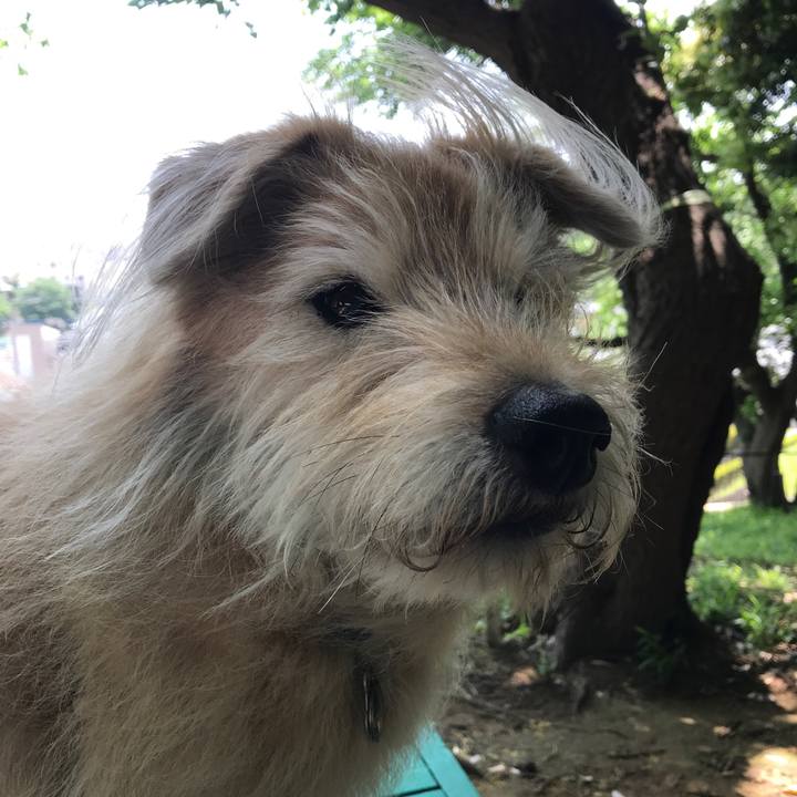 15c1d88e 3018 4020 a8c3 3915e9f12c4b 1620604189098