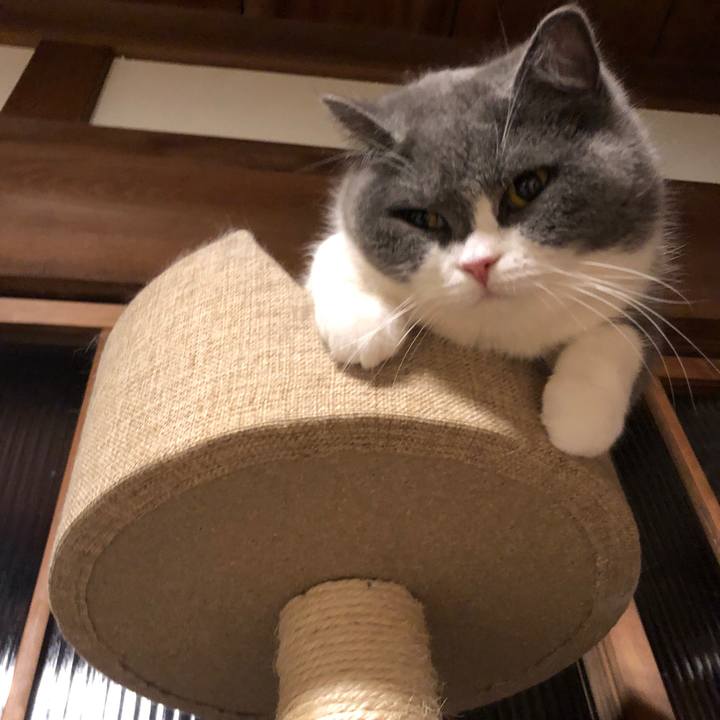 15c1ee8e ac25 42f2 9877 ea7c93879879 1619616304697