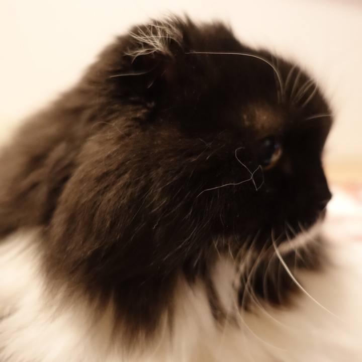 15c1f7f5 e1c7 49bd b011 c787e2aba670 1533827180863