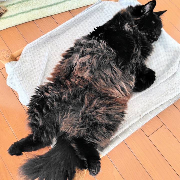 15c2022f 1d3f 4a61 8c48 f56693a20f08 1743291488234