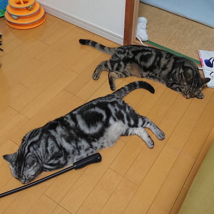 15c23512 32af 445a 9573 7d023eceb067 1589283880111