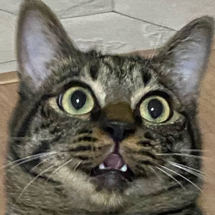 15c24ccc 6ce5 4ab5 9afa 872e1cffdf6a 1629716171556