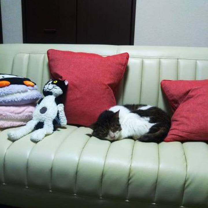 15c2ea06 51b0 4c08 a497 1e07799b6a1a 1658464639022