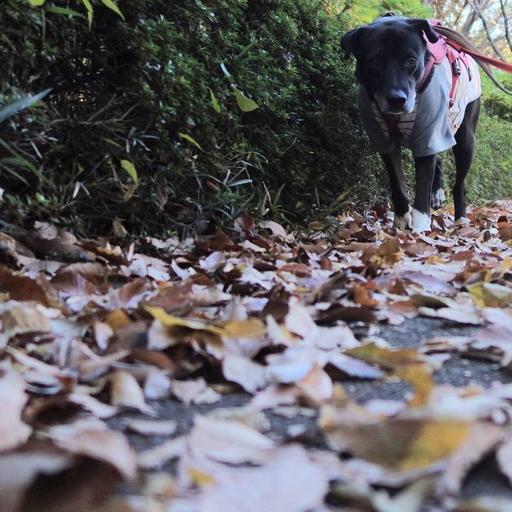 15c2ef04 854e 4479 b6dc c866df42c00c 1702169015543