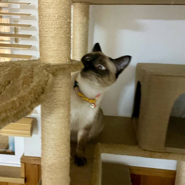 15c34e5e 27d8 48f1 b369 16c4ea6240db 1725998067181