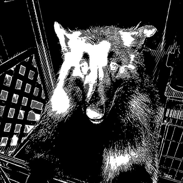 15c35999 0b9d 4e76 a689 2d342b1efcff 1625351355701