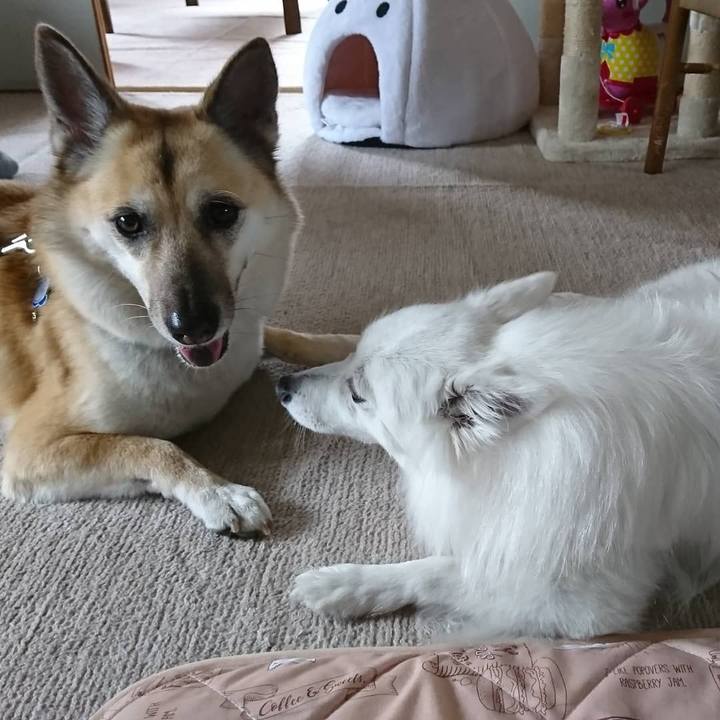 15c3b02d 9c60 4f4a 87ab 0d1d37cc9379 1619867877915