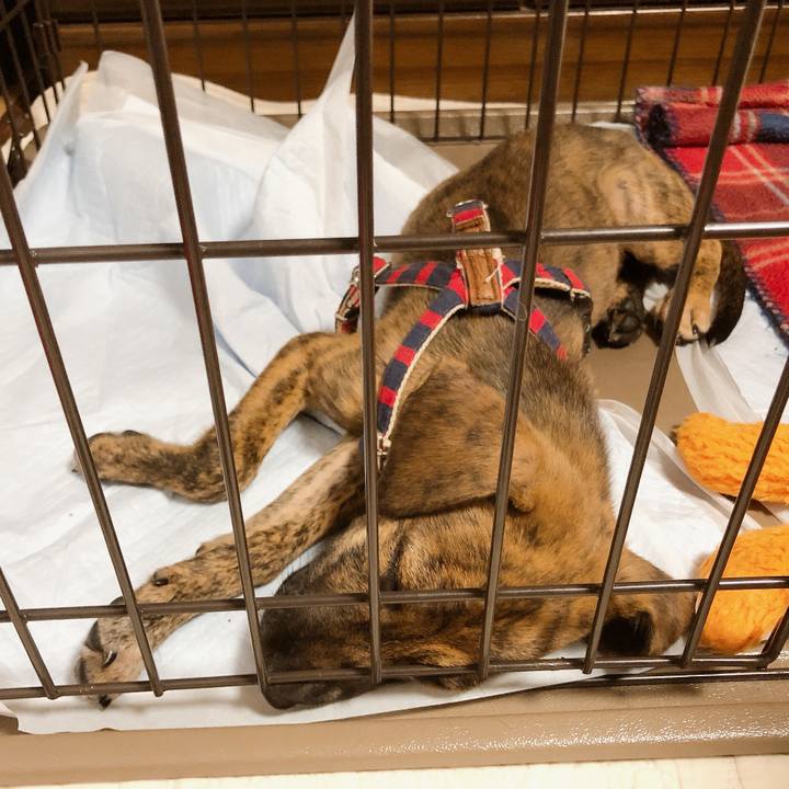 15c3c912 3bb9 4d3d b678 bec5ad008cf1 1567681997178